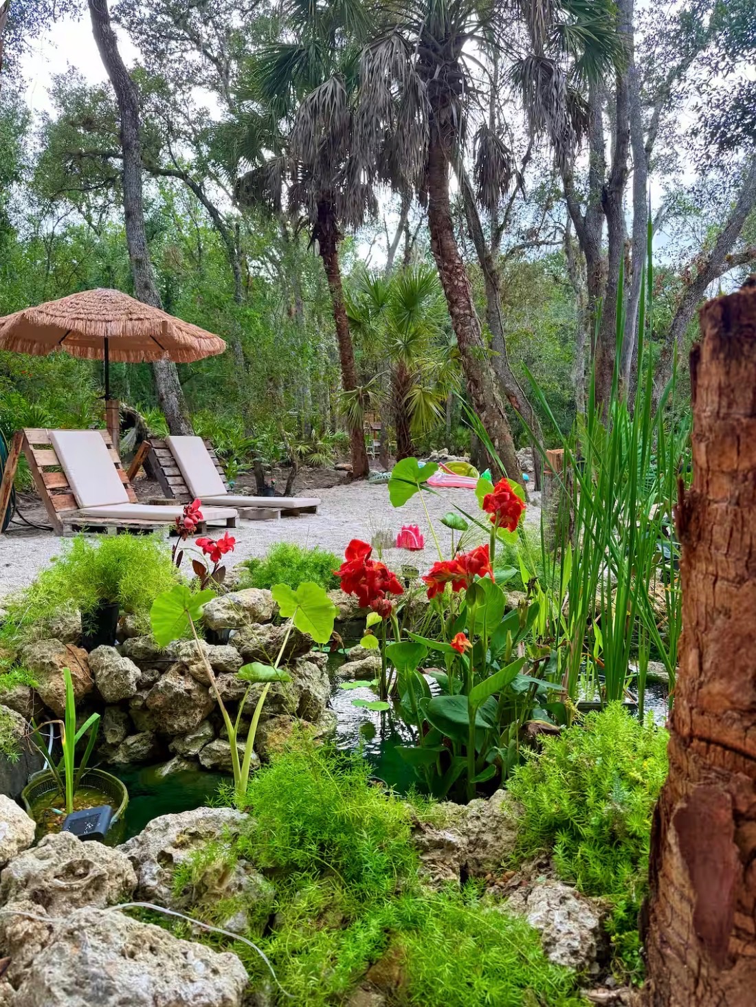 Loungers under a thatched umbrella beside the lily pond