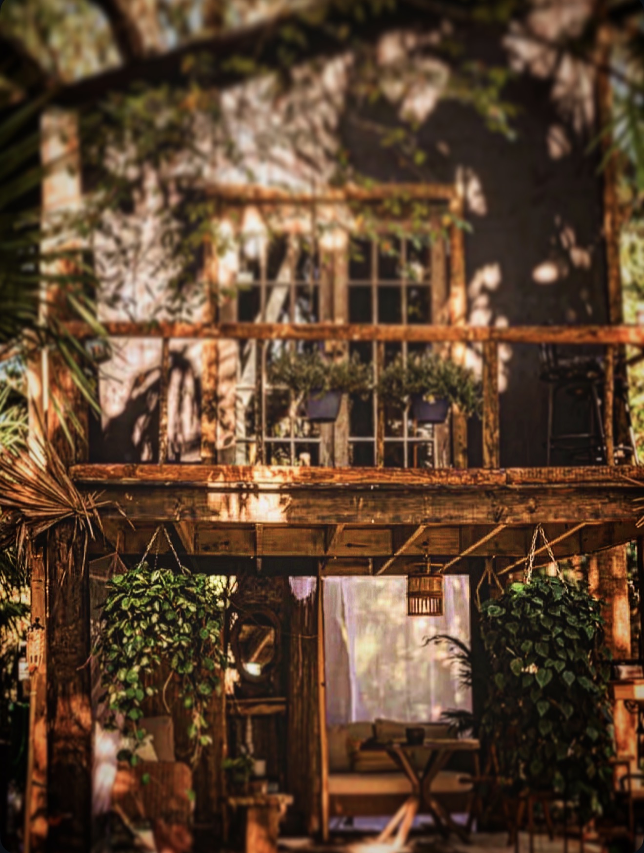The Treehouse