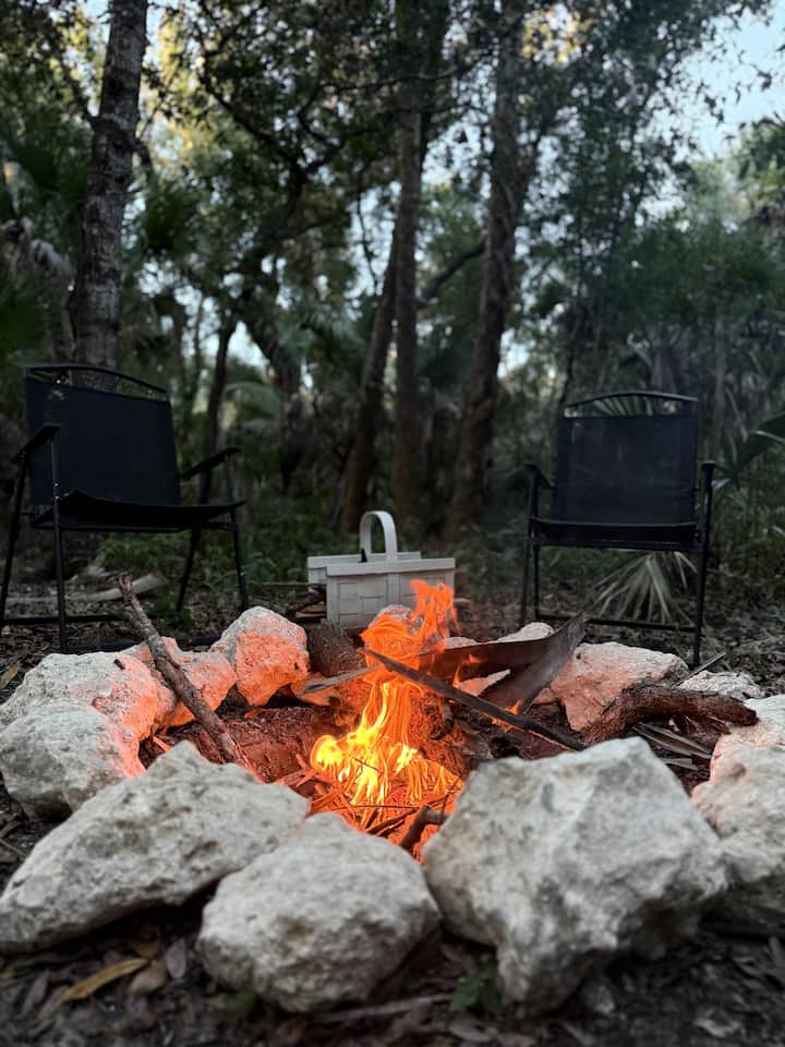 Fire pit burning at night under the oaks