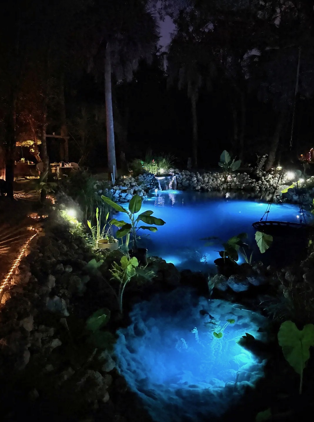 The Pond Oasis
