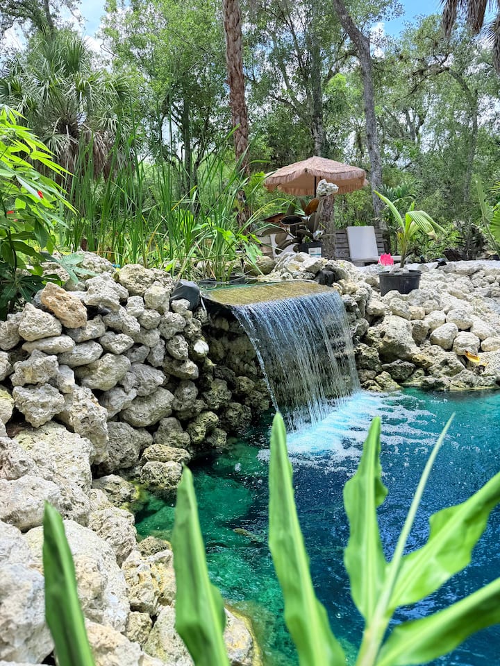 The Pond Oasis