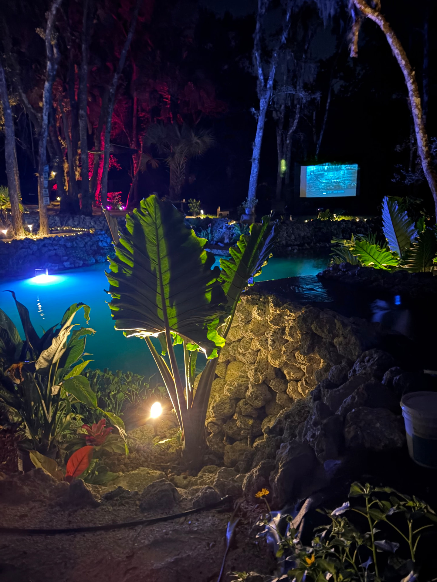 A movie screen glowing among the trees beside the pond at night